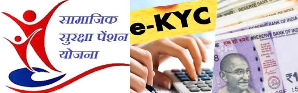 Social security pensioners should ensure their eKYC is completed by February 28th  Awas Pandit